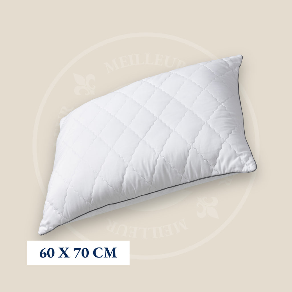 Meilleur Hotel Suite Pillow